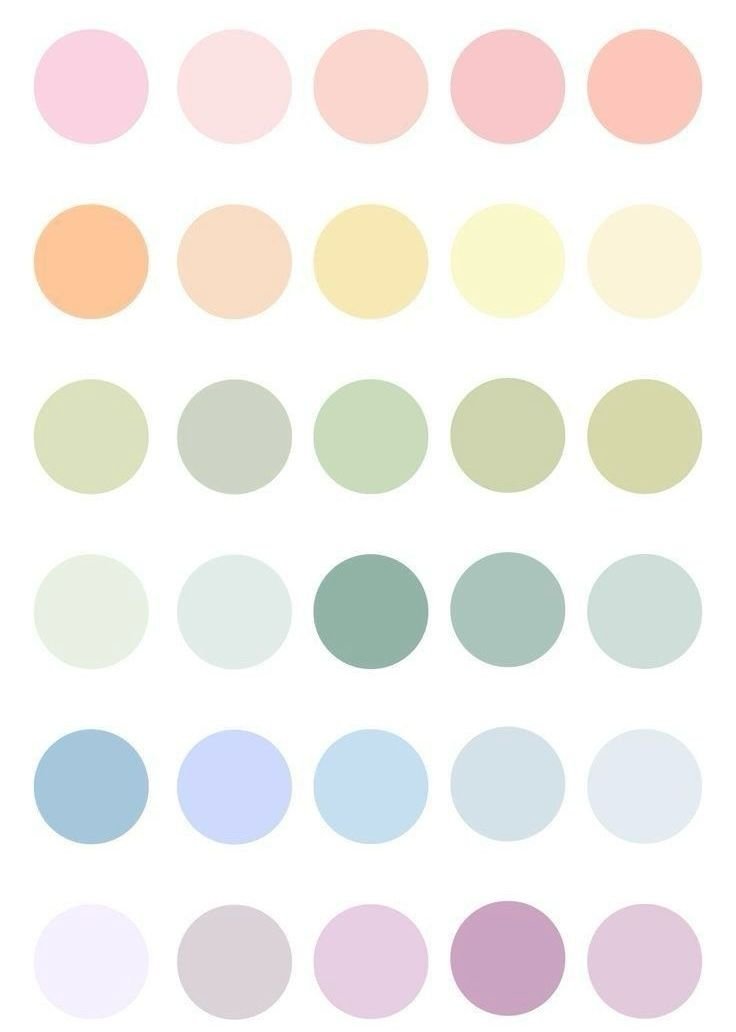 paleta
